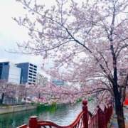 ヒメ日記 2025/04/01 17:00 投稿 いのり姫 螢