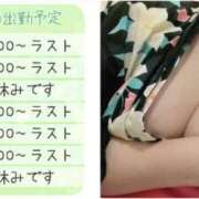 ヒメ日記 2025/04/28 12:01 投稿 いのり姫 螢