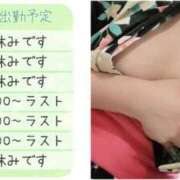 ヒメ日記 2025/05/12 12:00 投稿 いのり姫 螢