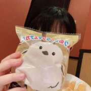 ヒメ日記 2025/06/15 12:01 投稿 いのり姫 螢