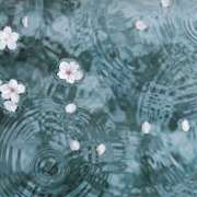 ヒメ日記 2025/07/10 18:56 投稿 のぞみ 西川口マーメイド