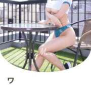 ヒメ日記 2025/04/15 20:19 投稿 もえ Versailles