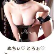 ヒメ日記 2025/04/27 22:09 投稿 もえ Versailles