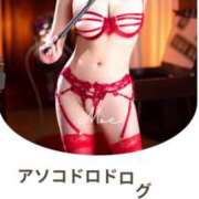 ヒメ日記 2025/04/29 12:03 投稿 もえ Versailles