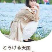 ヒメ日記 2025/05/08 12:21 投稿 もえ Versailles