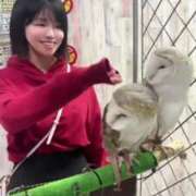 ヒメ日記 2025/06/03 21:02 投稿 もえ Versailles