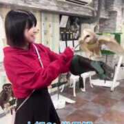 ヒメ日記 2025/06/03 22:14 投稿 もえ Versailles