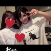 ヒメ日記 2025/06/22 08:31 投稿 もえ Versailles