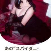 ヒメ日記 2025/07/19 22:09 投稿 もえ Versailles