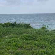 ヒメ日記 2025/10/29 21:21 投稿 もえ Versailles