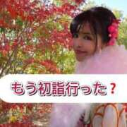 ヒメ日記 2026/01/08 19:35 投稿 もえ Versailles