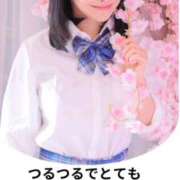 ヒメ日記 2026/03/02 12:21 投稿 もえ Versailles