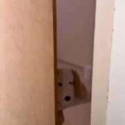 ヒメ日記 2026/03/05 21:21 投稿 もえ Versailles