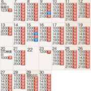 ヒメ日記 2026/04/05 14:41 投稿 もえ Versailles