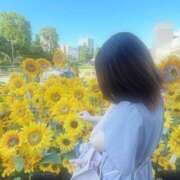 ヒメ日記 2025/08/03 00:08 投稿 ゆら One More 奥様　池袋店