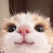 ヒメ日記 2026/01/06 21:24 投稿 ゆら One More 奥様　池袋店