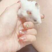 ヒメ日記 2026/01/15 08:05 投稿 まにー ドM女学園大阪