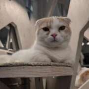 ヒメ日記 2025/04/26 16:03 投稿 さりな 横浜・関内サンキュー