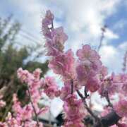 ヒメ日記 2026/03/04 19:45 投稿 かなえ Ange Spa(アンジュスパ)