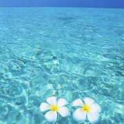 ヒメ日記 2025/07/30 23:38 投稿 《新人》れいこ【小柄綺麗系】 フィーリング