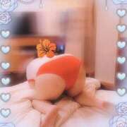 ヒメ日記 2025/09/01 23:30 投稿 《新人》れいこ【小柄綺麗系】 フィーリング