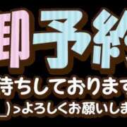ヒメ日記 2025/09/11 15:42 投稿 《新人》れいこ【小柄綺麗系】 フィーリング