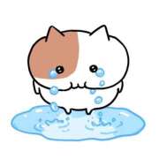 ヒメ日記 2026/03/30 13:11 投稿 ななせ フォーチュン