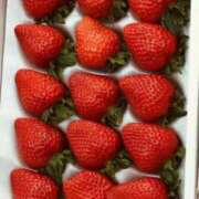 ヒメ日記 2025/02/27 20:10 投稿 とわ 即アポ奥さん～浜松店～