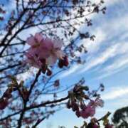 ヒメ日記 2025/03/06 09:34 投稿 とわ 即アポ奥さん～浜松店～