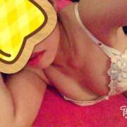 ヒメ日記 2025/10/02 08:25 投稿 とわ ぺろぺろベロベロ専科 ぺろんちょ