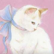 ヒメ日記 2025/03/29 16:15 投稿 つき Q-STORY