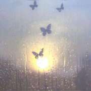 ヒメ日記 2025/05/03 02:55 投稿 つき Q-STORY