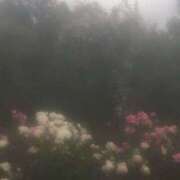 ヒメ日記 2025/05/08 09:45 投稿 つき Q-STORY