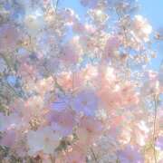 ヒメ日記 2025/05/30 13:25 投稿 つき Q-STORY