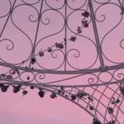 ヒメ日記 2025/06/06 02:25 投稿 つき Q-STORY