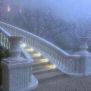 ヒメ日記 2025/06/07 02:25 投稿 つき Q-STORY