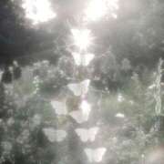 ヒメ日記 2025/06/13 01:05 投稿 つき Q-STORY