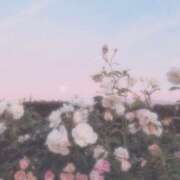 ヒメ日記 2025/06/14 01:55 投稿 つき Q-STORY