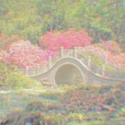 ヒメ日記 2025/06/18 16:01 投稿 つき Q-STORY