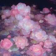 ヒメ日記 2025/06/20 12:25 投稿 つき Q-STORY