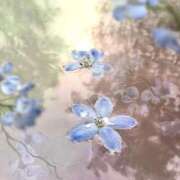 ヒメ日記 2025/07/10 12:45 投稿 つき Q-STORY