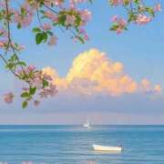 ヒメ日記 2025/08/09 12:25 投稿 つき Q-STORY