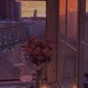 ヒメ日記 2025/09/05 12:06 投稿 つき Q-STORY