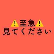 ヒメ日記 2024/12/23 09:47 投稿 エリカ ドンファン
