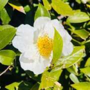 ヒメ日記 2024/12/17 20:58 投稿 りの 京都回春性感マッサージ倶楽部