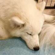 ヒメ日記 2025/02/10 21:54 投稿 りの 京都回春性感マッサージ倶楽部