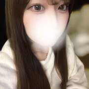 キア 今日から！ 姫路ラビット