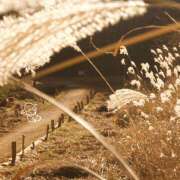 ヒメ日記 2025/01/02 20:15 投稿 ゆり（ファースト） Second Love（セカンドラブ）