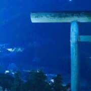 ヒメ日記 2025/01/03 23:06 投稿 ゆり（ファースト） Second Love（セカンドラブ）