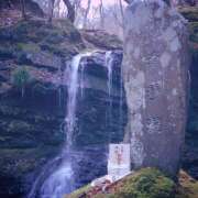 ヒメ日記 2025/01/09 15:49 投稿 ゆり（ファースト） Second Love（セカンドラブ）